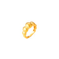 Anillo Paros